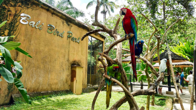 Bali Bird Park Bali Bird Park