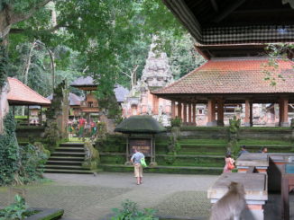 Tempel Ubud Monkey Forest Bali