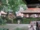 Tempel Ubud Monkey Forest Bali