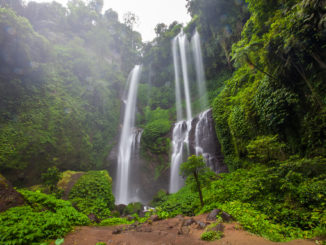 Wasserfall Sekumpul