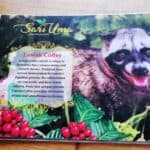 Bali Urlaub 114