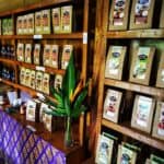 Bali Urlaub 118
