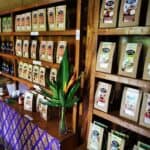 Bali Urlaub 119