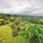 Bali Urlaub 150