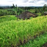 Bali Urlaub 154