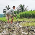 Bali Urlaub 162