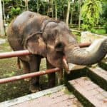 Bali Urlaub 292