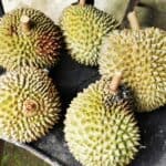Bali Urlaub 300