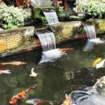 Bali Urlaub 302