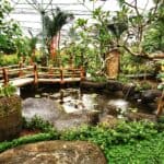 Bali Urlaub 317
