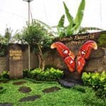 Bali Urlaub 318