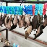 Bali Urlaub 319