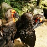 Bali Urlaub 336