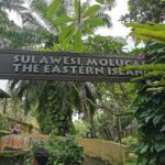 Bali Urlaub 342