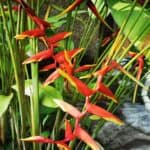 Bali Urlaub 48